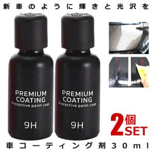 2個セット フィックスマックス2 車コーティング剤 液体セラミックコート 30ml 光沢 輝き ガラス硬化剤 スポンジ付 黄ばみ 自動車 BLACKFIX｜絆ネットワーク