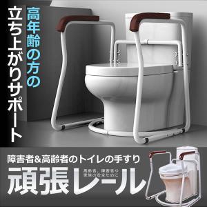 トイレ スロープ レール 手すり 安全性 障害者 高齢者