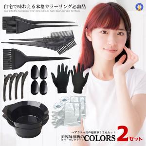 2個セット 美容師推薦 カラーリング22点セット ヘアカラー 毛染め ケープ プロ用 ヘアダイブラシ カップ ヘアクリップ セルフ カラーリング 白髪染め 22-COLORS｜kasimaw