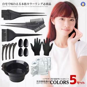 5個セット 美容師推薦 カラーリング22点セット ヘアカラー 毛染め ケープ プロ用 ヘアダイブラシ カップ ヘアクリップ セルフ カラーリング 白髪染め 22-COLORS｜kasimaw