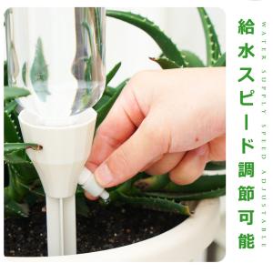 自動水やり器 6個セット 観葉植物 自動給油キ...の詳細画像5