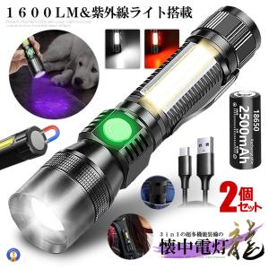 Snap-On (スナップオン) フラッシュライト コンボパック : JO-YA.com