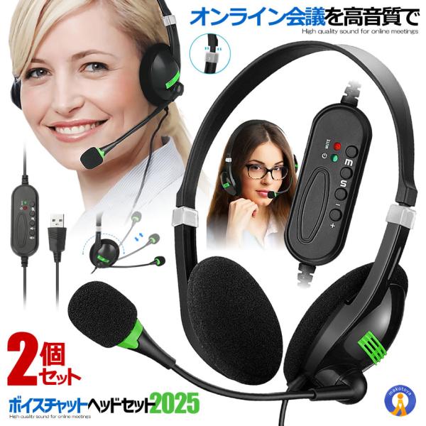 2個セット usb ヘッドセット テレワーク テレビ会議 ミュート機能付き 両耳ボイスチャット用 ヘ...