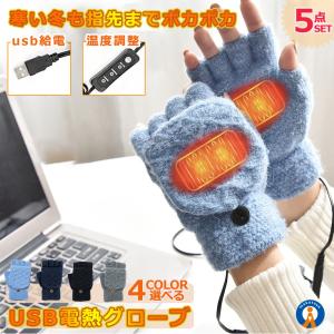 5点セット 電熱グローブ PC用 温度 調節 可能 ヒーターグローブ