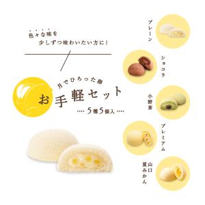 果子乃季 お手軽セット 詰合せ 月でひろった卵 5種5個入 お菓子 お土産 和菓子 山口 つきたま ...