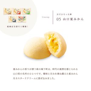 果子乃季 お手軽セット 詰合せ 月でひろった卵...の詳細画像5