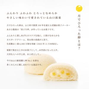 【リニューアル】 山口銘菓 月でひろった卵 4...の詳細画像2