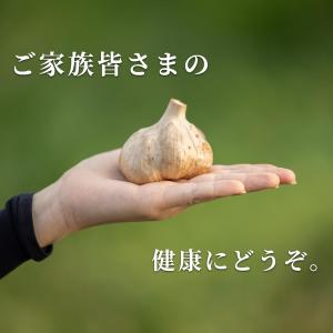 黒にんにく機能性表示760gの詳細画像3