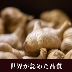 黒にんにく機能性表示760gの詳細画像4
