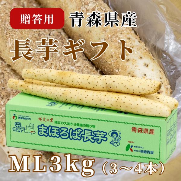 長芋ギフト中5kg(6〜7本)M/L