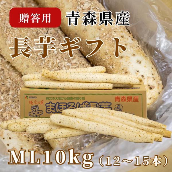 長芋ギフト中10kg(12〜15本)M/L
