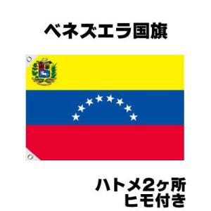 コスチュームで仮装大賞 南アメリカ 国旗 Yahoo ショッピング