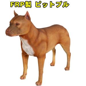 ピットブル 犬の商品一覧 通販 Yahoo ショッピング
