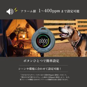 【送料込】NEW 2024モデル 沢田テント ...の詳細画像4