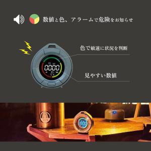 【送料込】NEW 2024モデル 沢田テント ...の詳細画像5
