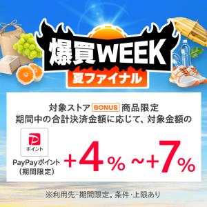 カスペルスキー VPN セキュアコネクション ...の詳細画像1