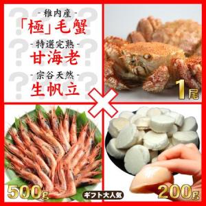 海鮮３種詰め合わせセット（完熟甘海老500g + 宗谷産生ホタテ200g + 稚内毛蟹1尾）｜kassai