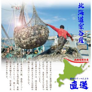 訳あり ホタテ ほたて 帆立 貝柱 北海道 稚...の詳細画像5