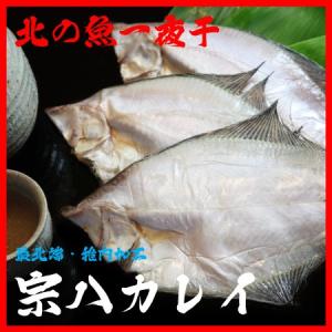 宗八カレイ かれい 干物 一夜干し 北海道 海産物 魚 2〜3枚入 宗谷 稚内 お中元 お歳暮 誕生日 プレゼント ギフト グルメ 贈り物