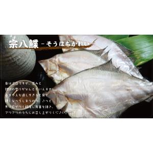 宗八カレイ かれい 干物 一夜干し 北海道 海...の詳細画像1
