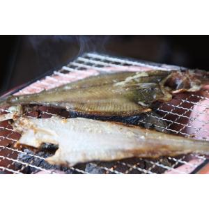 宗八カレイ かれい 干物 一夜干し 北海道 海...の詳細画像3