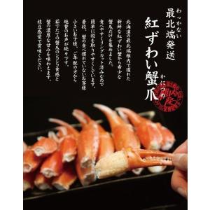 ズワイガニ カニ爪 ずわい 蟹 カニ かに 紅...の詳細画像1