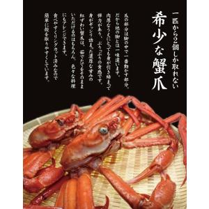 ズワイガニ カニ爪 ずわい 蟹 カニ かに 紅...の詳細画像2