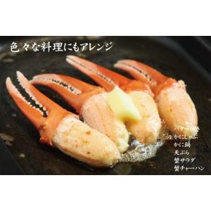 ズワイガニ カニ爪 ずわい 蟹 カニ かに 紅...の詳細画像5