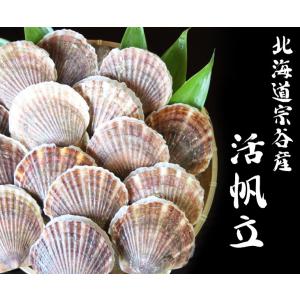 令和9年度予約販売 活 ホタテ 殻付き 活帆立...の詳細画像1