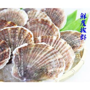令和9年度予約販売 活 ホタテ 殻付き 活帆立...の詳細画像3