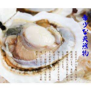 令和9年度予約販売 活 ホタテ 殻付き 活帆立...の詳細画像4