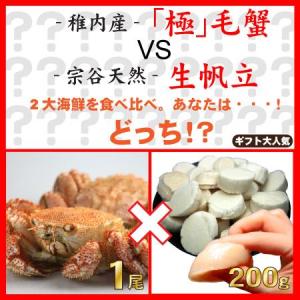 稚内毛蟹1尾　+　宗谷産生ホタテ200g　食べ比べセット｜kassai