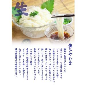 秘伝ストレート めんつゆ 1袋 (単品) 冷麦...の詳細画像1