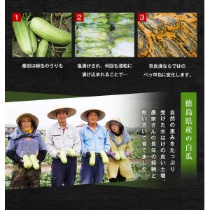 奈良漬 お試し三種セット 保存料着色料無添加 ...の詳細画像5