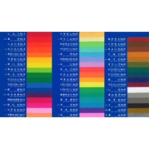 単色 おりがみ アイアイカラー 100枚入の詳細画像1