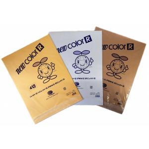 色画用紙（ニューカラー金・銀・銅）　4切　単色　10枚入