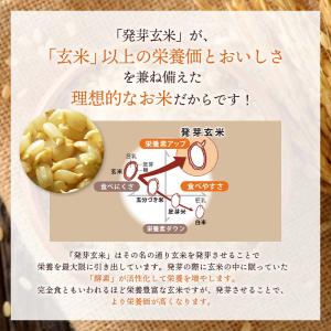 機能性表示食品 3日寝かせ発芽玄米ごはん+GA...の詳細画像4