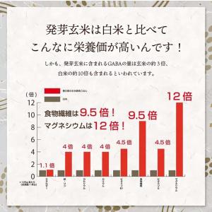 新米 特Aひとめぼれ米 残留農薬ゼロ 発芽玄米...の詳細画像2