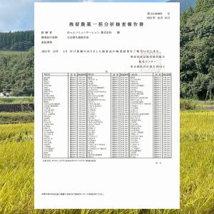新米 特Aひとめぼれ米 残留農薬ゼロ 発芽玄米...の詳細画像1