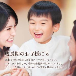 新米 特Aひとめぼれ米 残留農薬ゼロ 発芽玄米...の詳細画像5