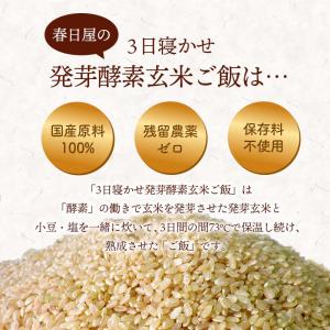発芽酵素玄米 28食セット 3日寝かせ 発芽酵...の詳細画像2