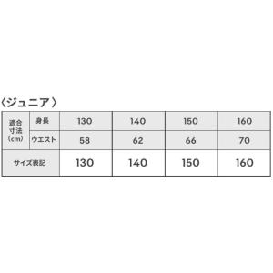 2025年モデル デサント 少年用ユニフォーム...の詳細画像3