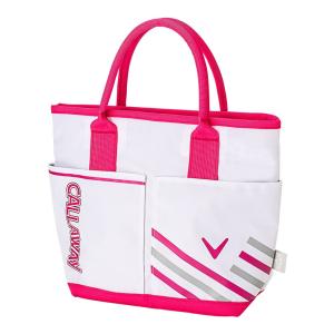 フリッチ テクトン12 110mmブレーキ付き バックカントリー 金具