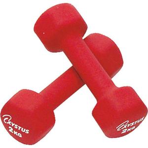 トーエイライト ラバーコートダンベル 2 TOE-H9060  メンズ ユニセックス