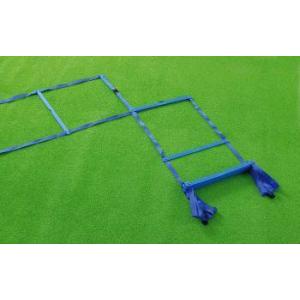 ラダートレーナーDX MLDDX