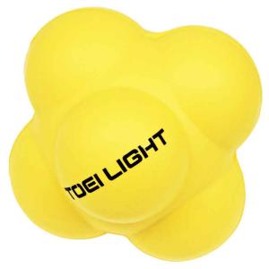 トーエイライト TOEI LIGHT B3801 カラートンネル用ハウス : カスカワ