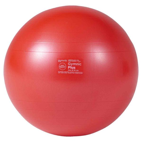 淡野製作所 DANNO D5421R ギムニクカラーボールPLUS 55(レッド)