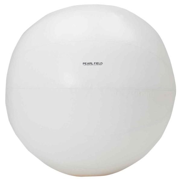 淡野製作所 DANNO D7501R 大玉ファイ150( レッド)