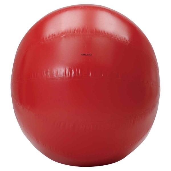 淡野製作所 DANNO D7502R 大玉ファイ180 (レッド)