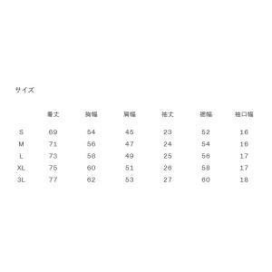 カンタベリー ショートスリーブメディアポロ ポ...の詳細画像4